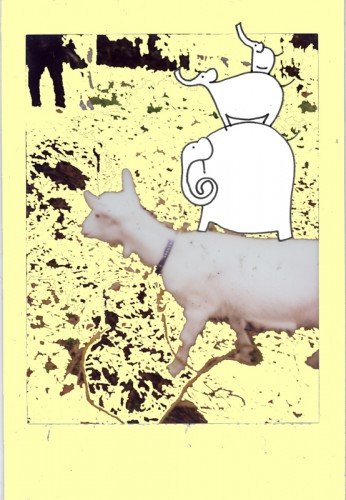 updata